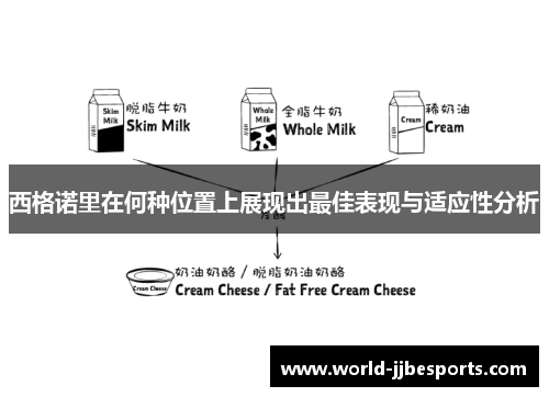 西格诺里在何种位置上展现出最佳表现与适应性分析