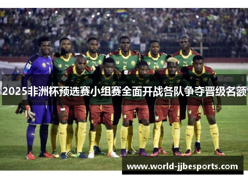 2025非洲杯预选赛小组赛全面开战各队争夺晋级名额