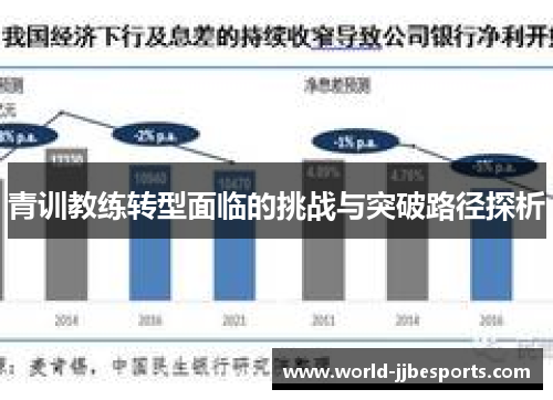 青训教练转型面临的挑战与突破路径探析