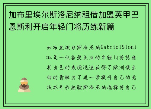 加布里埃尔斯洛尼纳租借加盟英甲巴恩斯利开启年轻门将历练新篇